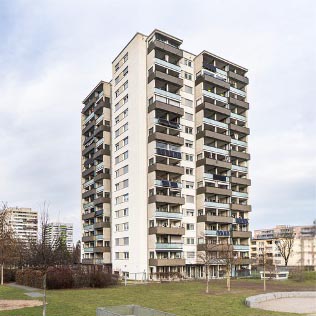 binzengrün_2